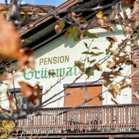 Gasthof Grünwald *